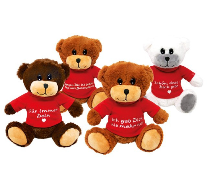 Plüsch-Bär "Hannes"-mit Sprüchen - 20cm - 3759