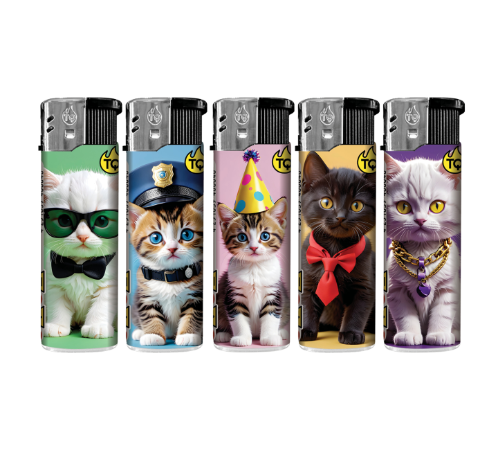 TobaliQ E.-Fzg "Baby Cats"