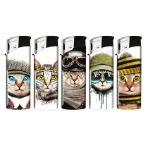 TobaliQ E-Fzg. "Cool Cats"