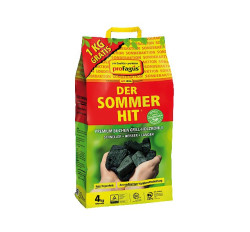 Sommer-Hit Grillholzkohle 4 Kg zum 3 Kg Preis  PALETTE