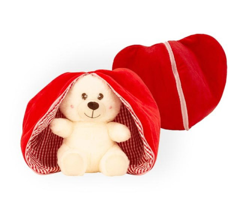 Plüsch-Bär "Patty" in Stoffhülle (Herz) mit Reißverschlus - 25 cm